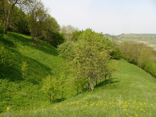 Gógán-vár,  Újvár