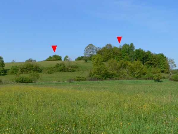 Vár