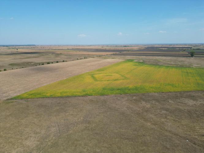 Vársziget, castellum