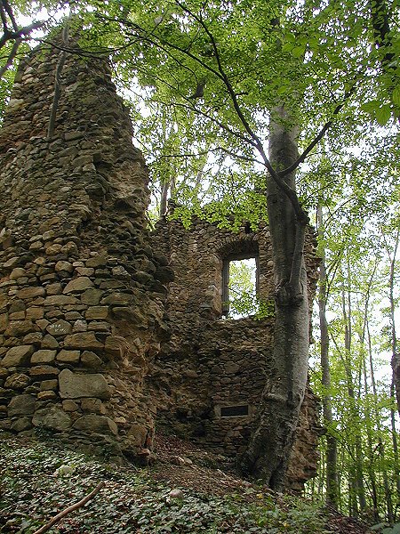 Turski grad, Éleskő vára