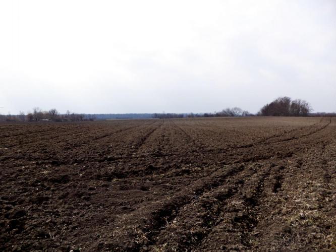 Zlaakowcz, Szlakovác
