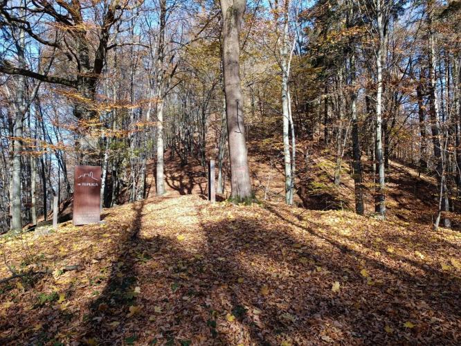 Pusztavár, Teplice vára