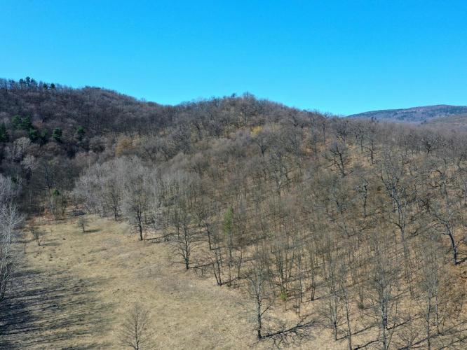 Várhegy - Majorvár