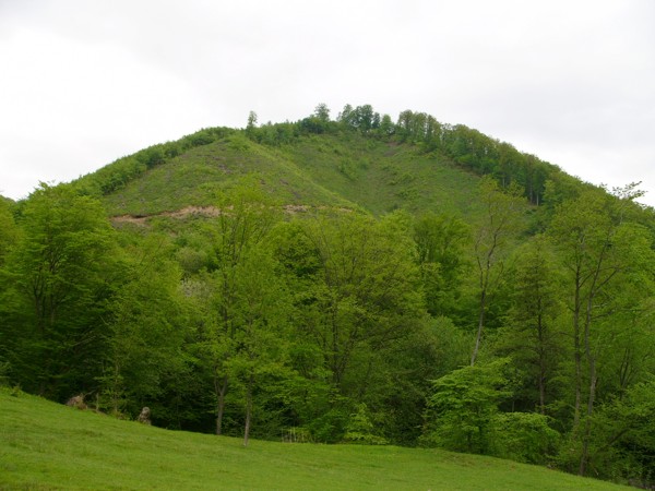 Kolnik, Colnic