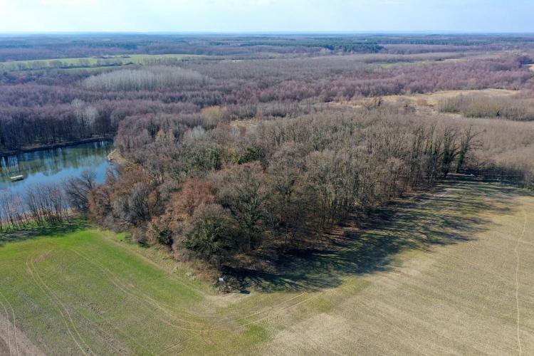 Koroknya (Korotna)-vár