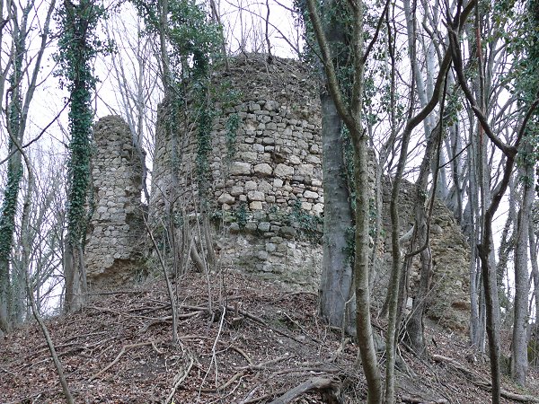 Vár