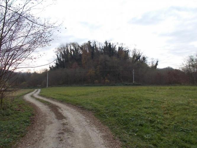 Kőkapronca, Kővár vára