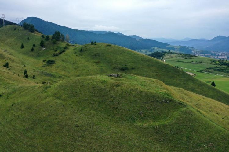 Pancová, Strána(Cerená)