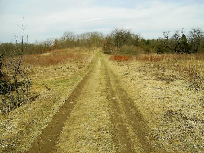 Várhegy