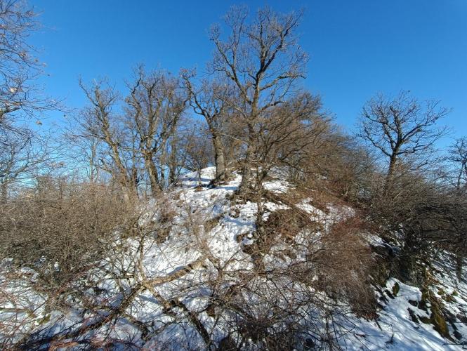 Hrádok