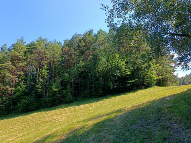 Kisvár