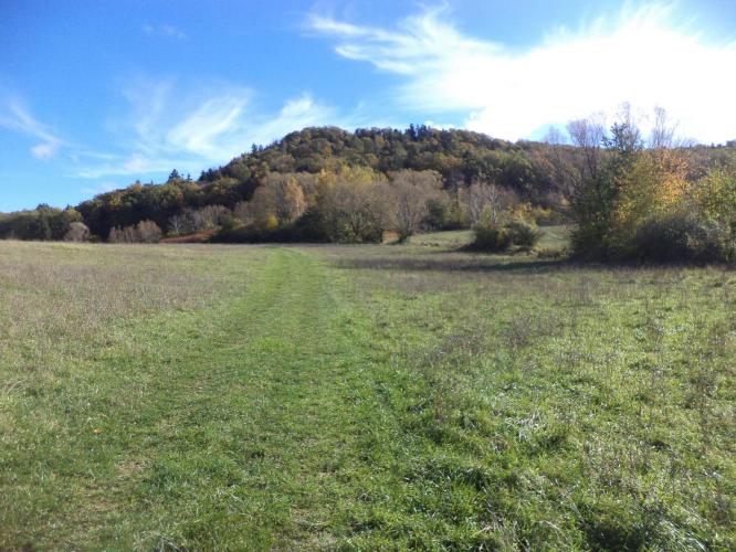 Nagyhatár-Malinovec