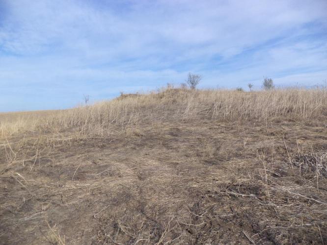 Kaján-Temető(Köves)-halom