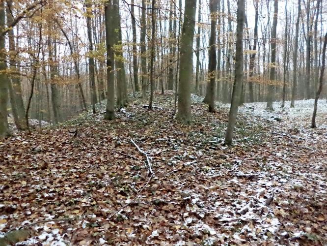 Gradina