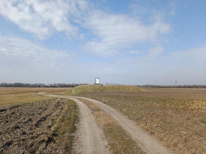 Vár