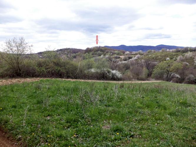 Kamenica