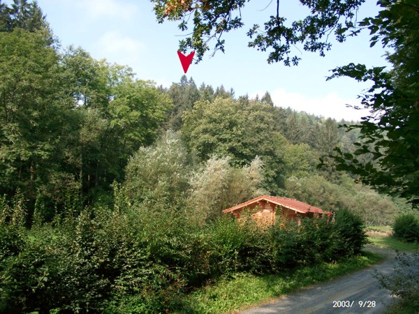 Vár