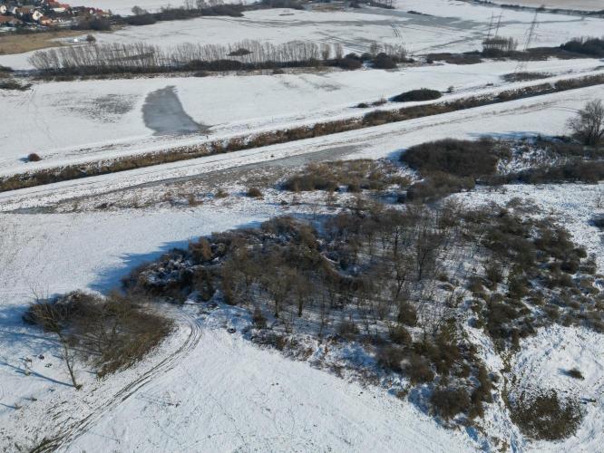 Flóramajor, Torom dűlő